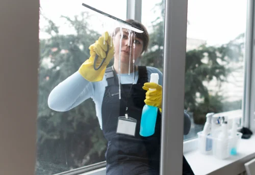 Nettoyage de vitres intérieures et extérieures à Vibraye
